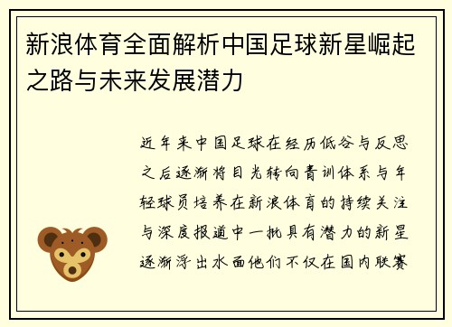 新浪体育全面解析中国足球新星崛起之路与未来发展潜力